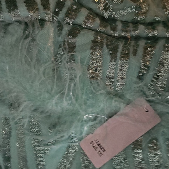 Mint Green, Assymmetrical Feather BeadedNeck, Graphic, Slit Thigh, Sequined Gown - Picture 11 of 11